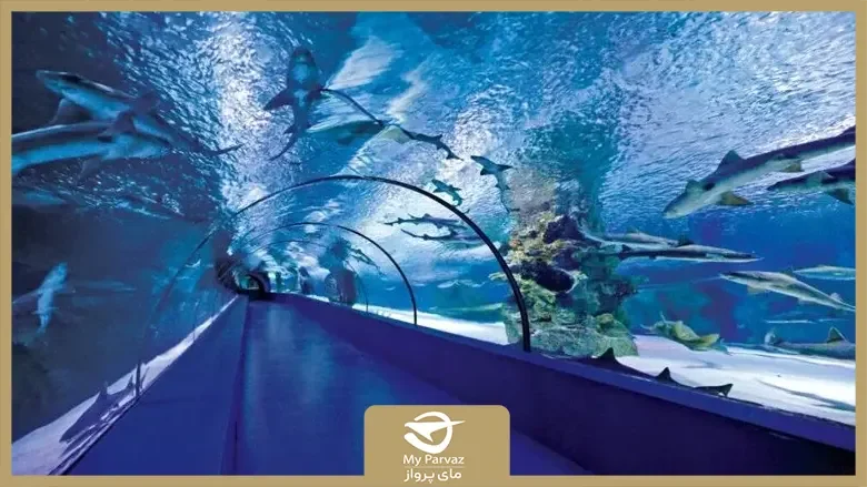 راهنمای بازدید آکواریوم آنتالیا