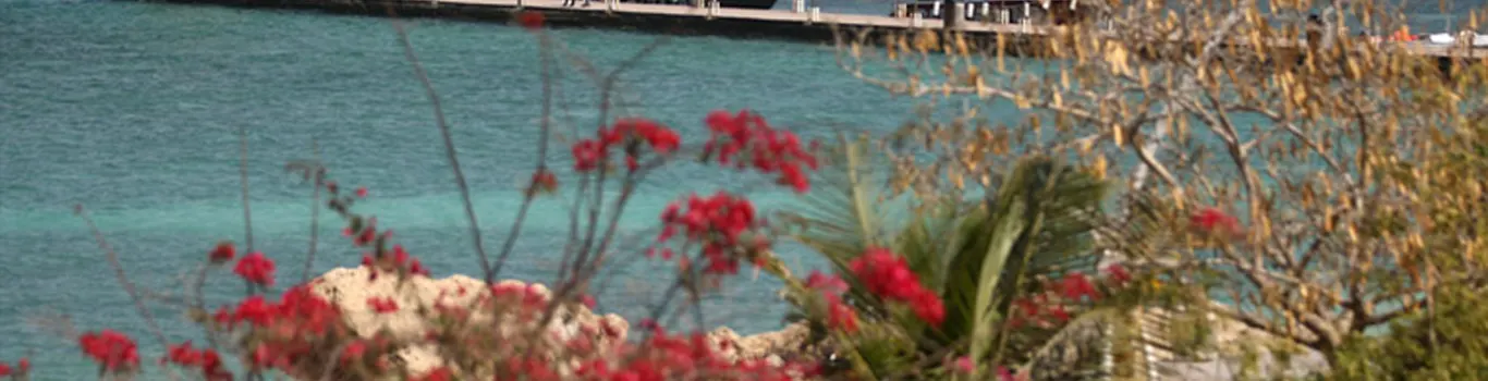 تور کیش از اهواز