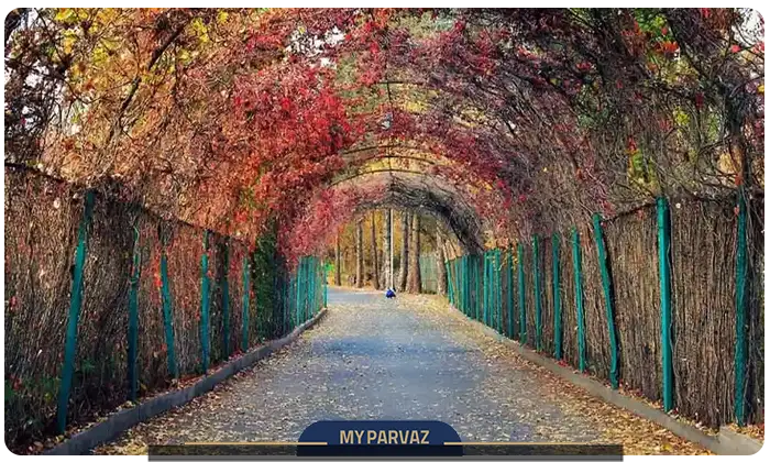 باغ گیاهشناسی ایروان