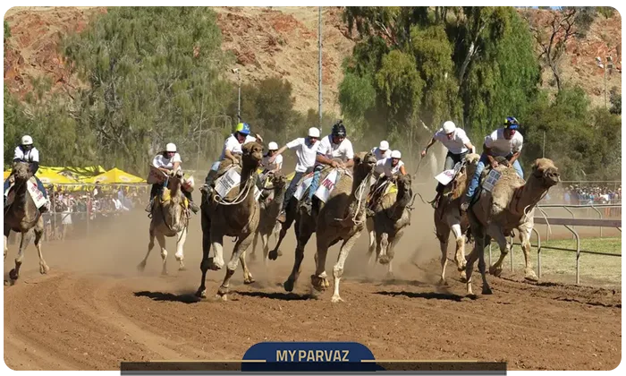Sultan Camel Race Cup