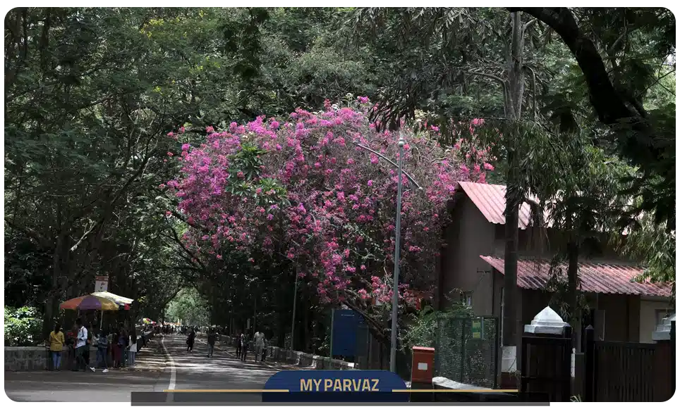 پارک ملی سانجی گاندی (Sanjay Gandhi National Park)