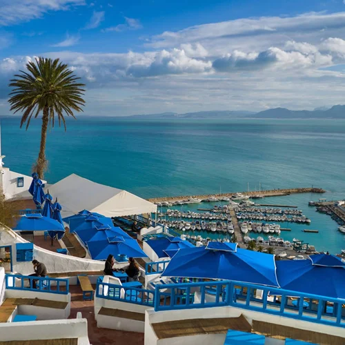 تور 7 شب و 8 روز تونس