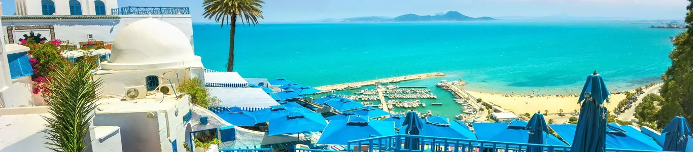 تور 10 شب و 11 روز تونس استانبول نوروز 1404